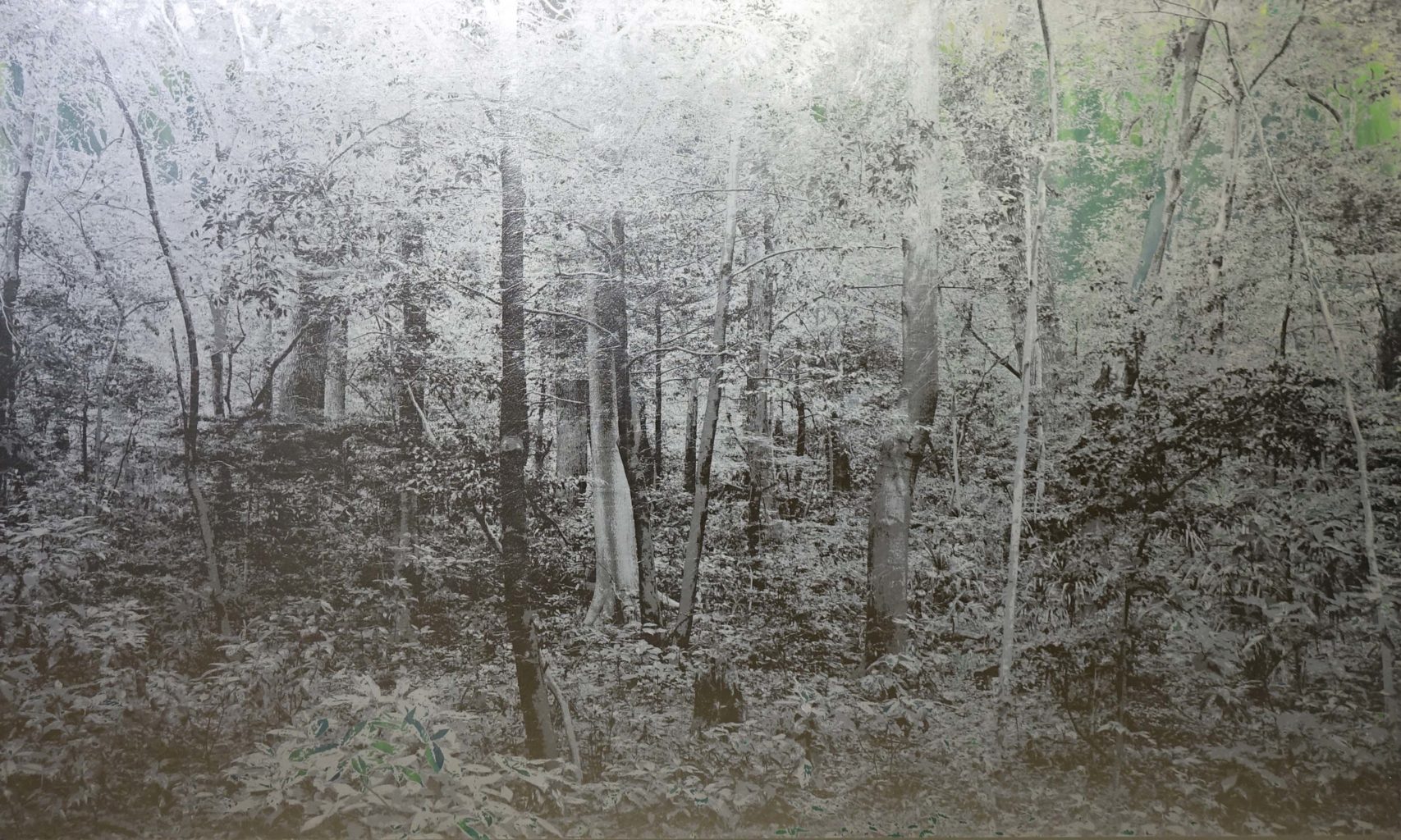 Mirage #45 Synthetic Paper, acrylic, silver foil, aluminum foil 250×600cm 2019