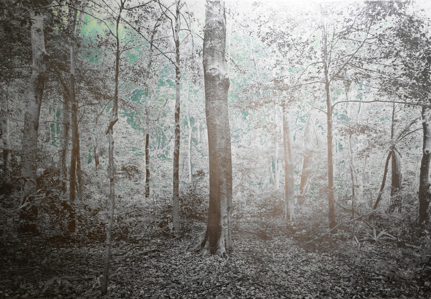 Mirage#53 合成纸, 丙烯颜料, 银箔, 铝箔纸 110×160cm 2020